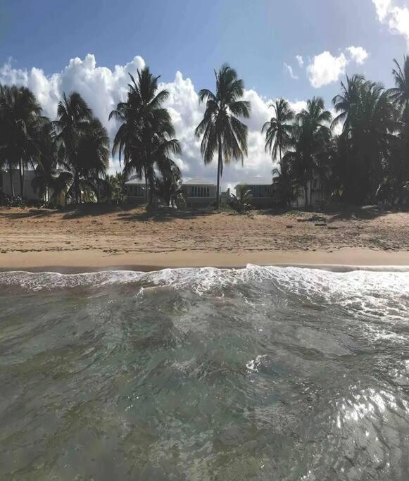 3 Bedroom Apt. Close To Main Beaches/ Attractions Río Grande Extérieur photo